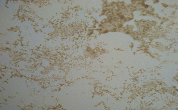 仿瓷涂料配方技術(shù)大全!